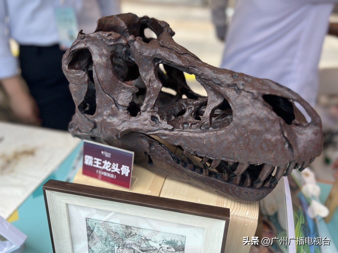 广州市省博物馆参观攻略,go带你去看世界