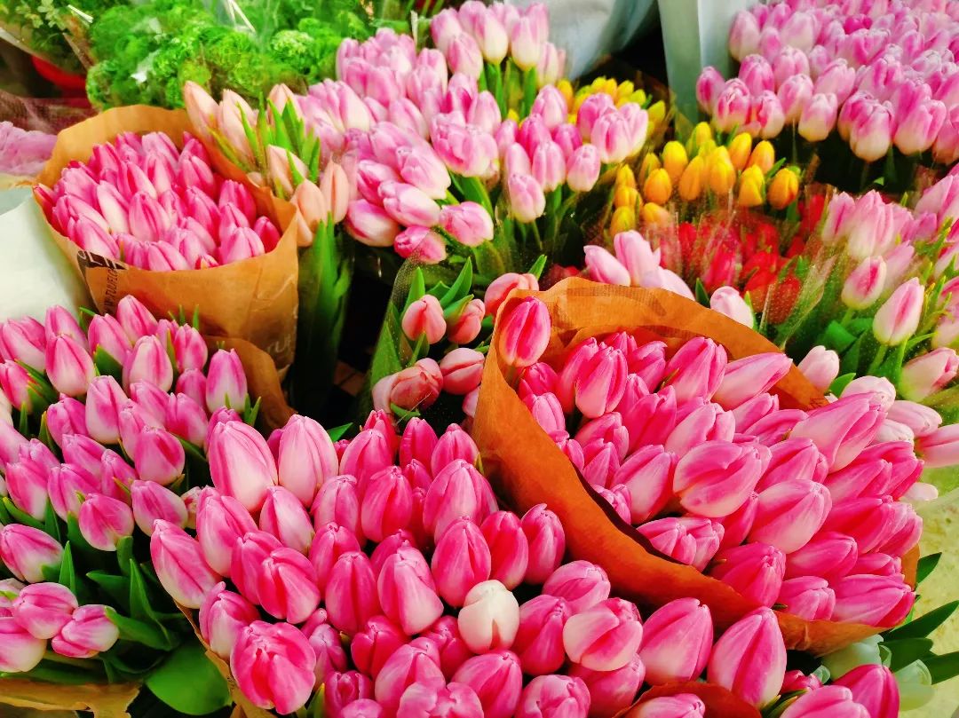 青岛卖文玩的地方在哪儿,青岛文玩市场推荐店有哪些