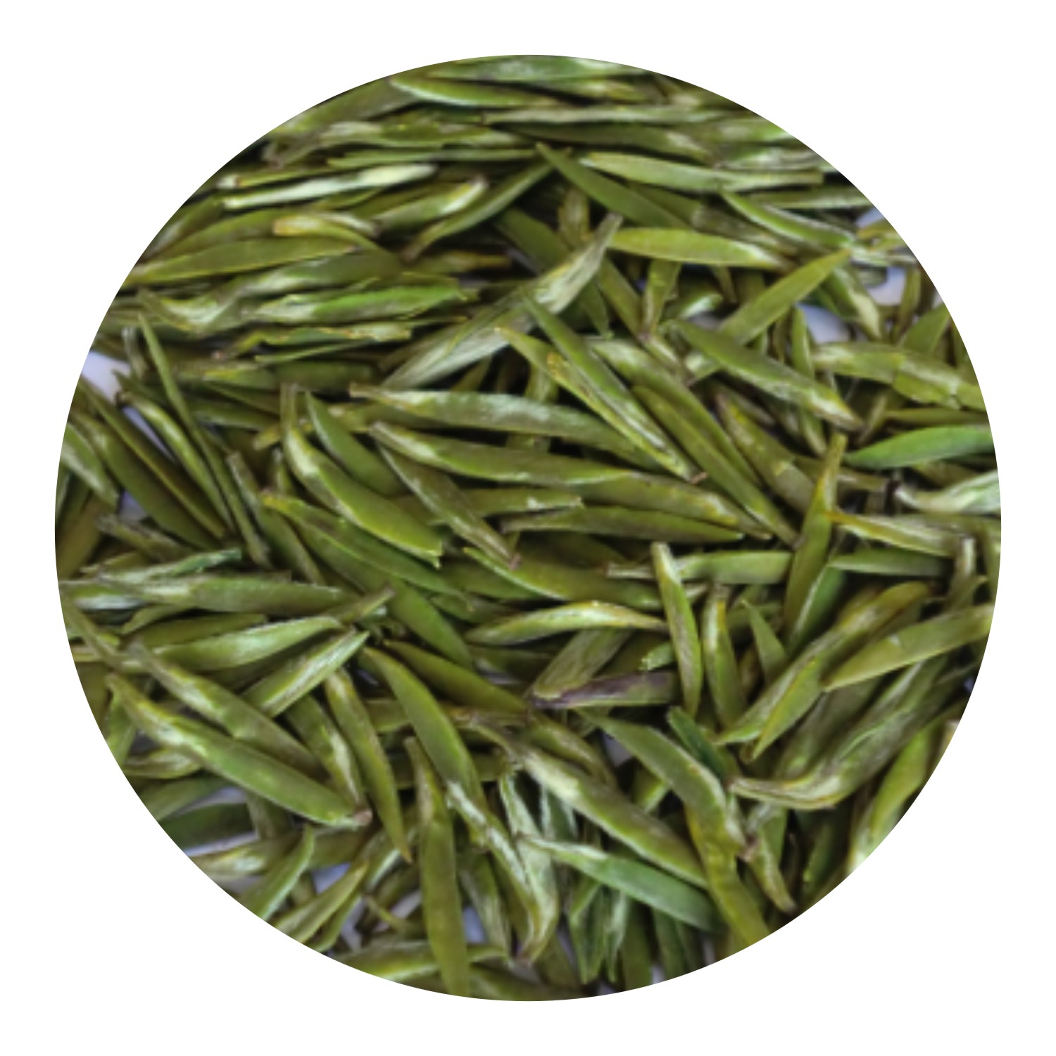 中国十大区域品牌名茶排名,中国名茶最新排行表