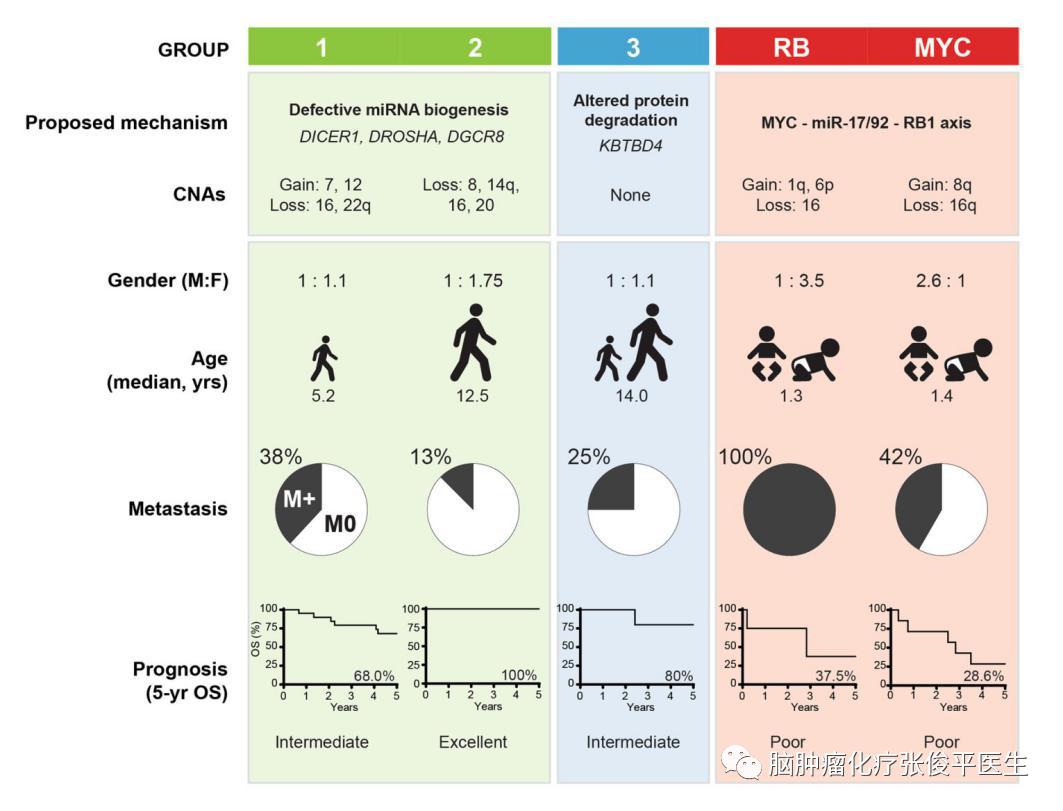 研究揭示松果体母细胞瘤的分子分型及其与临床特征的关系