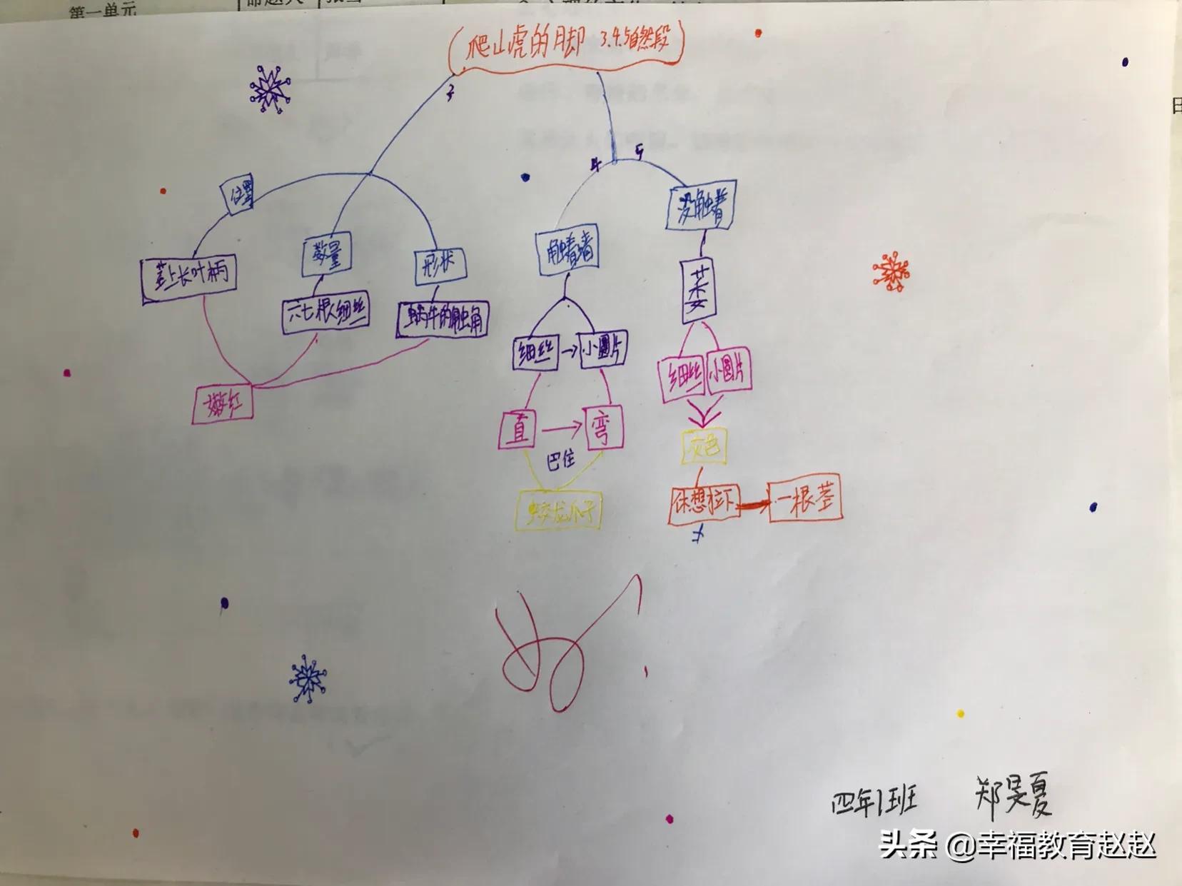 爬山虎的脚思维导图怎么画图片,爬山虎的脚思维导图绘画过程