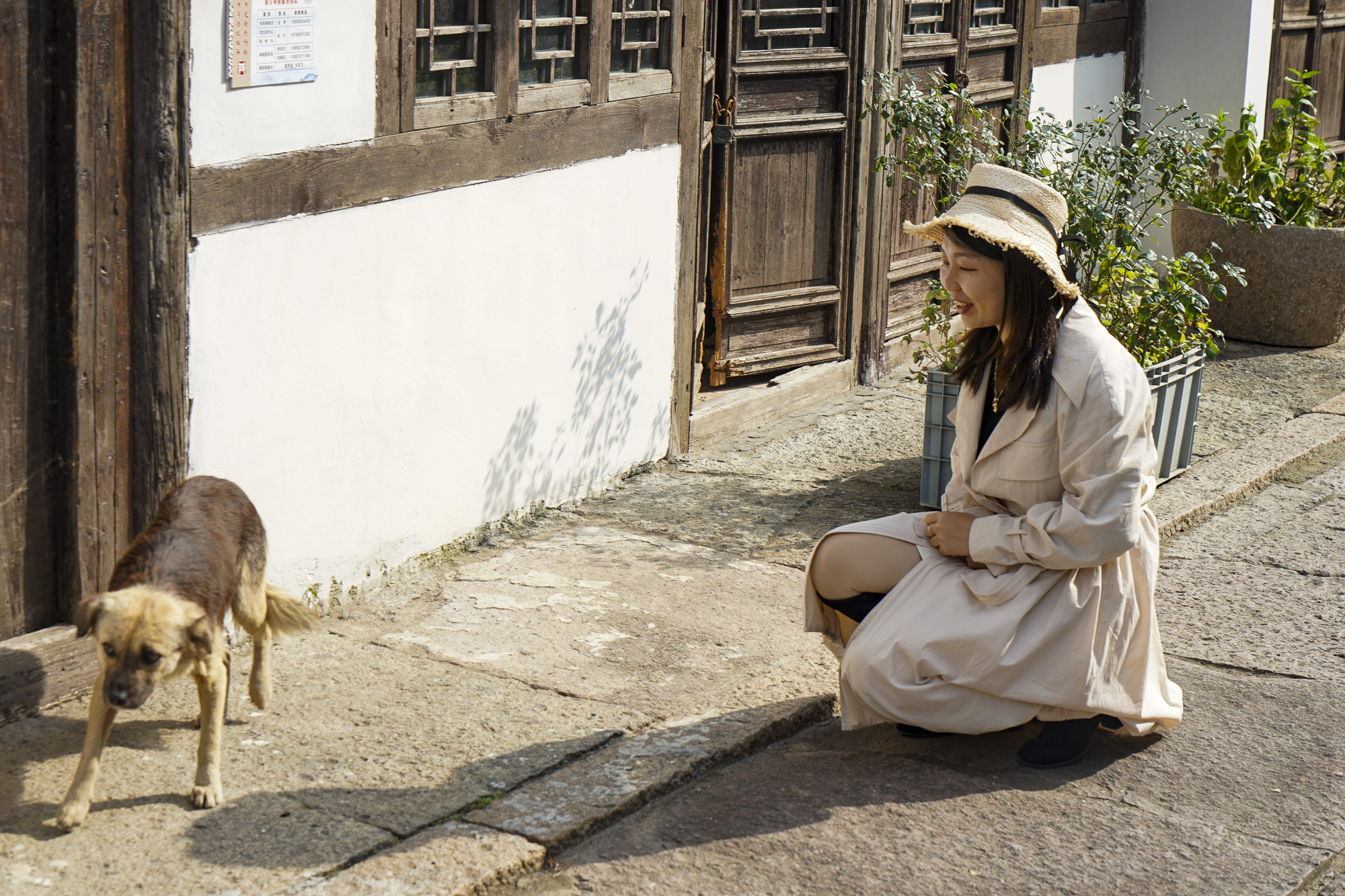 舟山暑假海岛游三天两晚,浙江舟山四天三晚游玩攻略