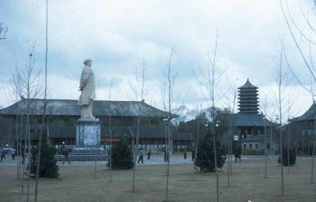 纳粹德国屠杀犹太女人,变态纳粹