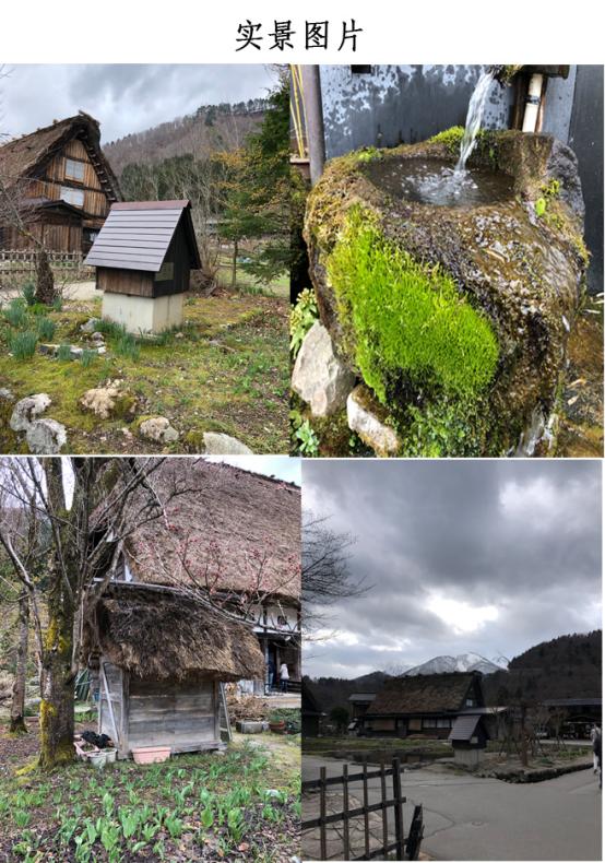 乡村旅游做什么项目,乡村旅游做点什么生意好