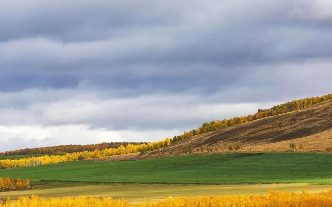 保持希望的经典句子,对生活充满希望的经典语录