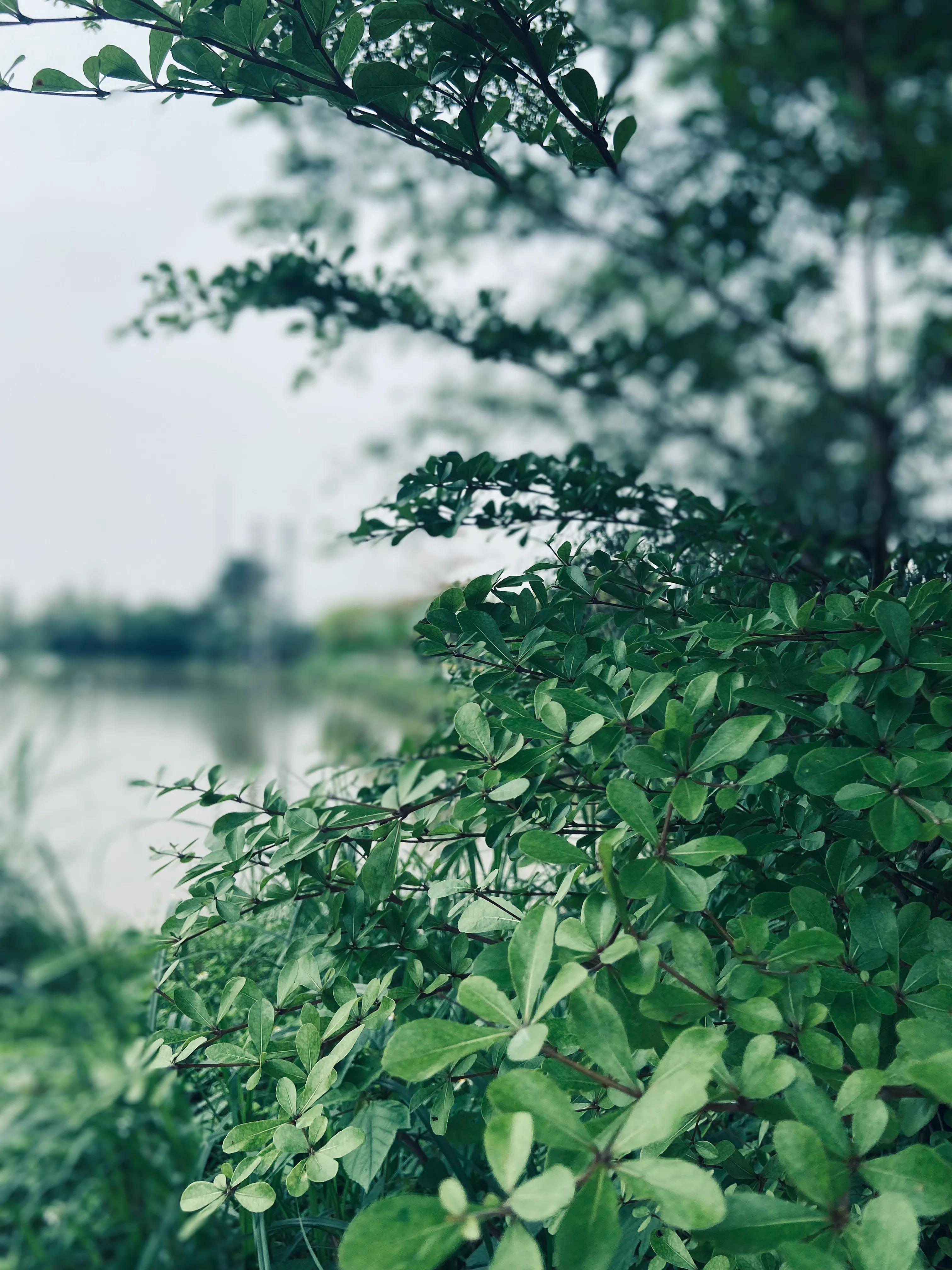 会遇到那个坚定选择我的人吗,有像我一样挫败的人吗