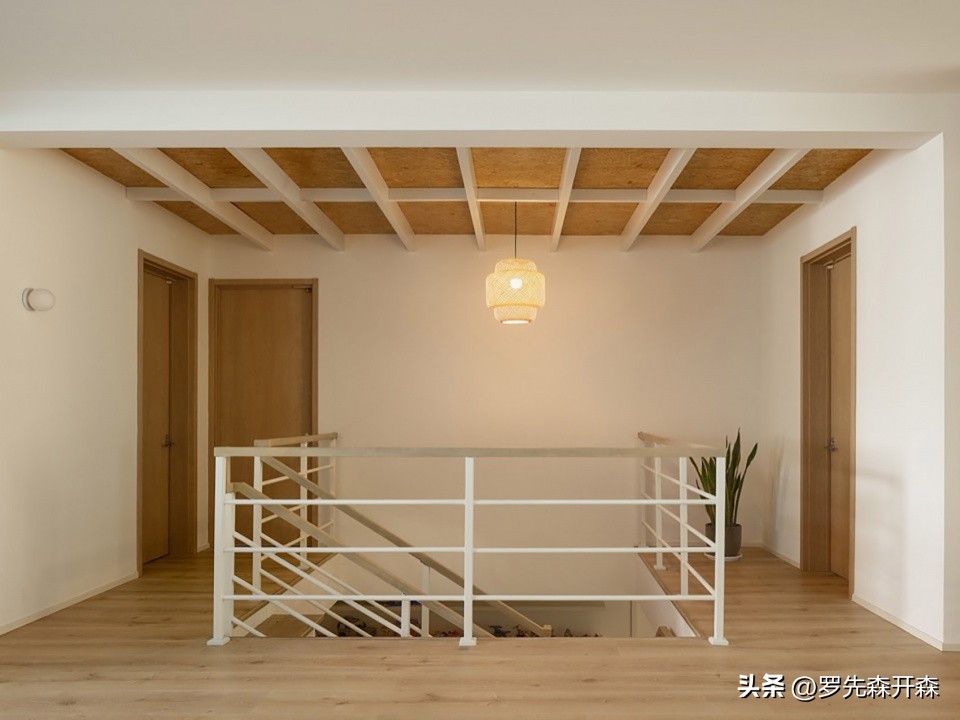 猫猫避难猫窝,猫猫居住小窝