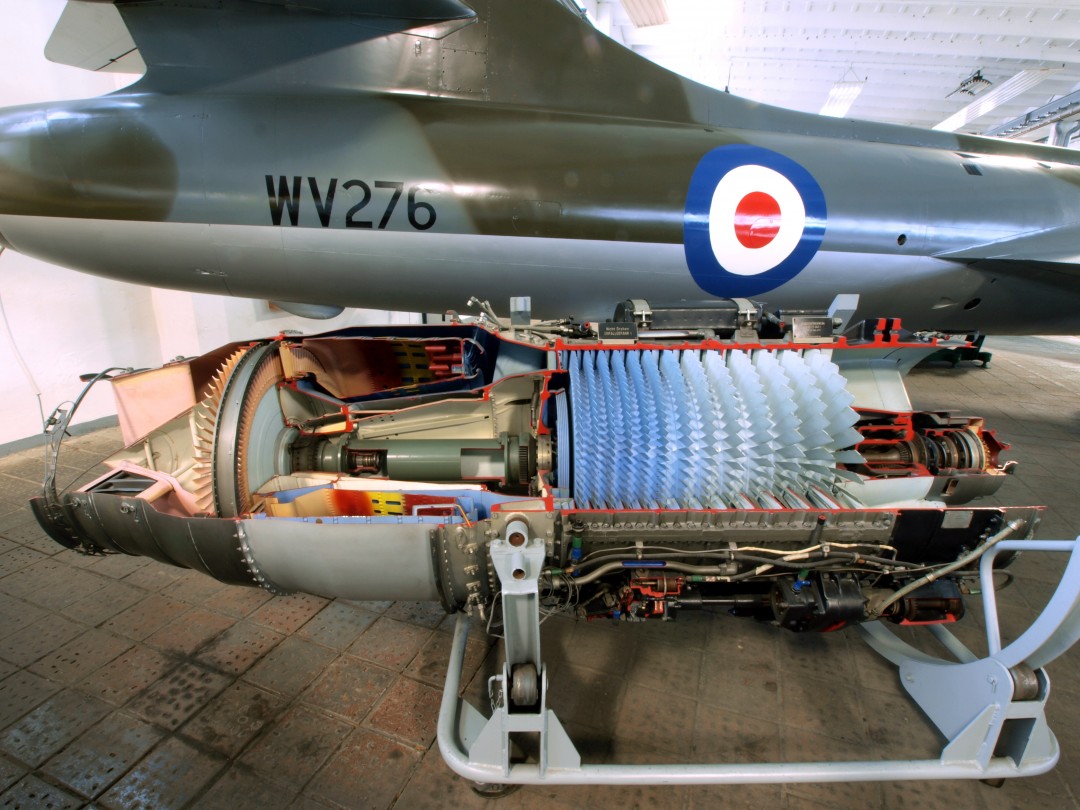 60样东西，切成一半，让你看得一清二楚