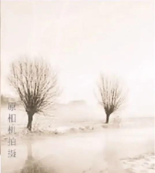 人间的饭吃一碗少一碗是谁说的,感悟人间的饭吃一碗少一碗