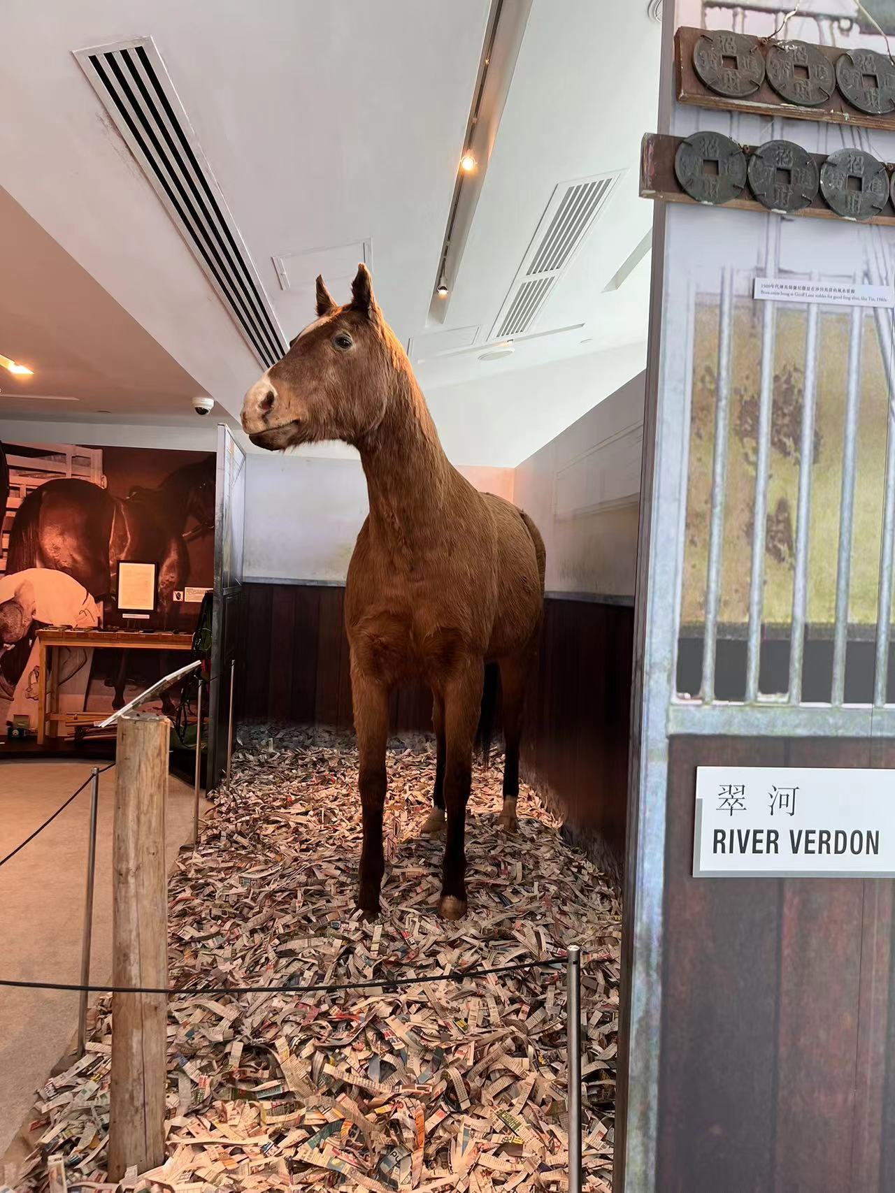 抄作业旅游,暑假香港旅游旅程