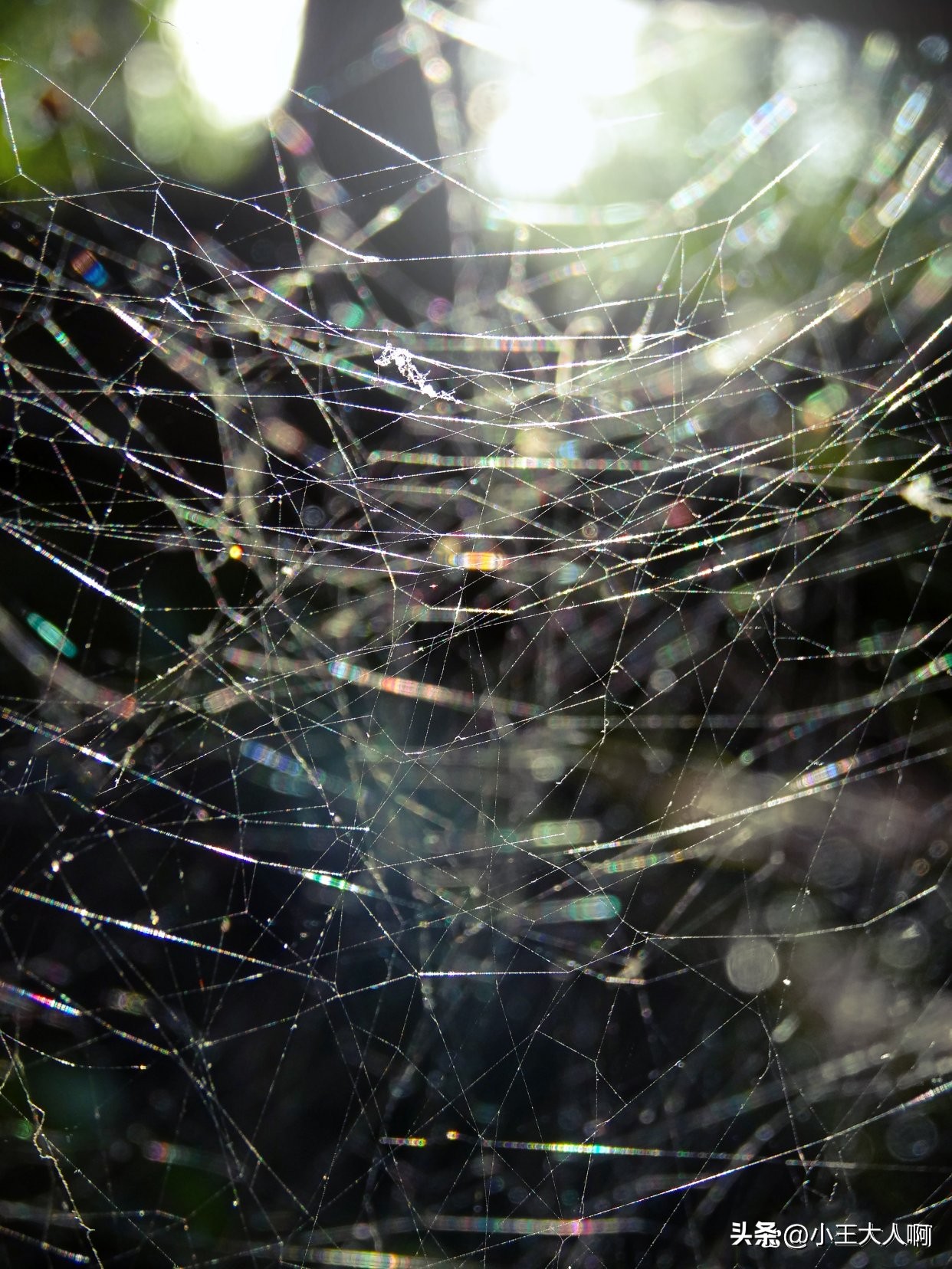 为什么去美元化国家这么多,为什么去美元化中国才能崛起