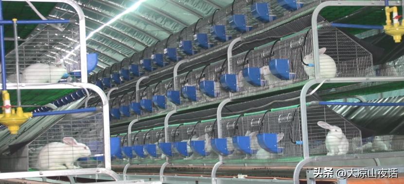 大凉山乡村振兴,遇见美丽大凉山1-8集