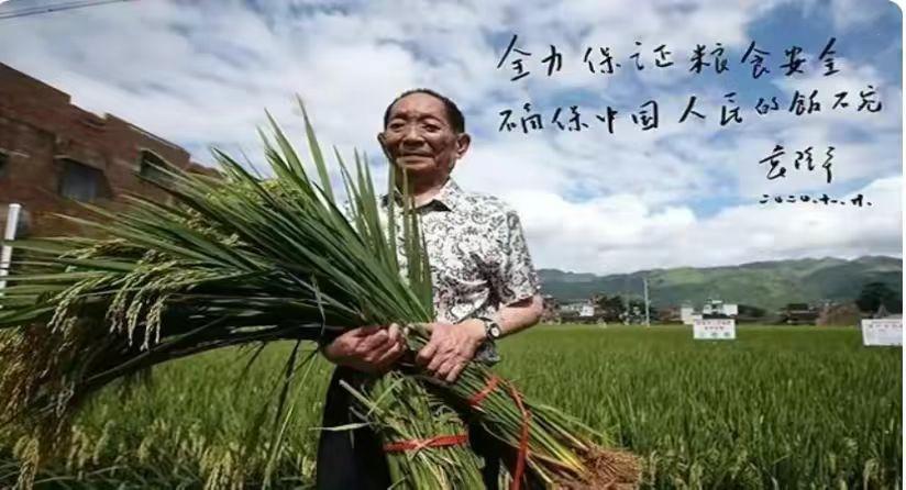 美国控制全球粮食价格的原因,美国控制粮食价格吗