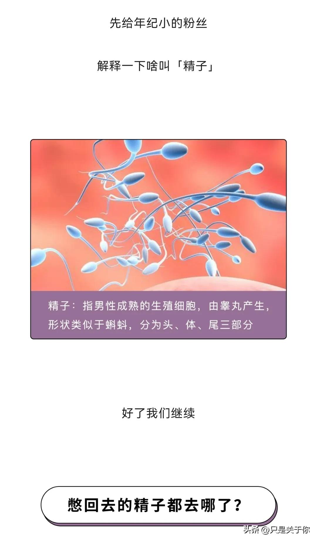 那些男人硬憋回去的“精子”都跑哪去了？这个操作伤身体吗？漫画