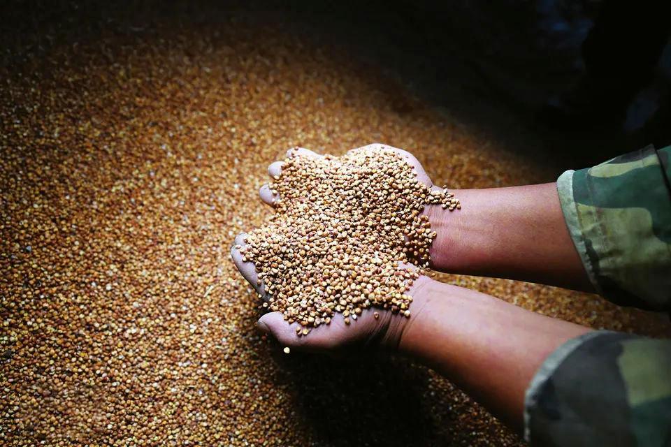 汾酒近三年业绩发展,汾酒一季度分析