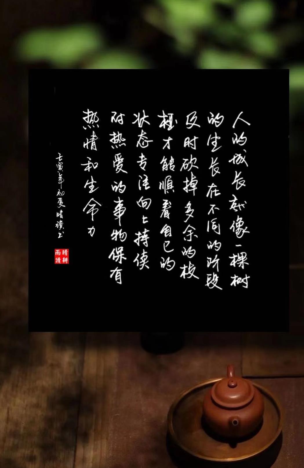 什么是所谓的自由,什么是自由的感悟