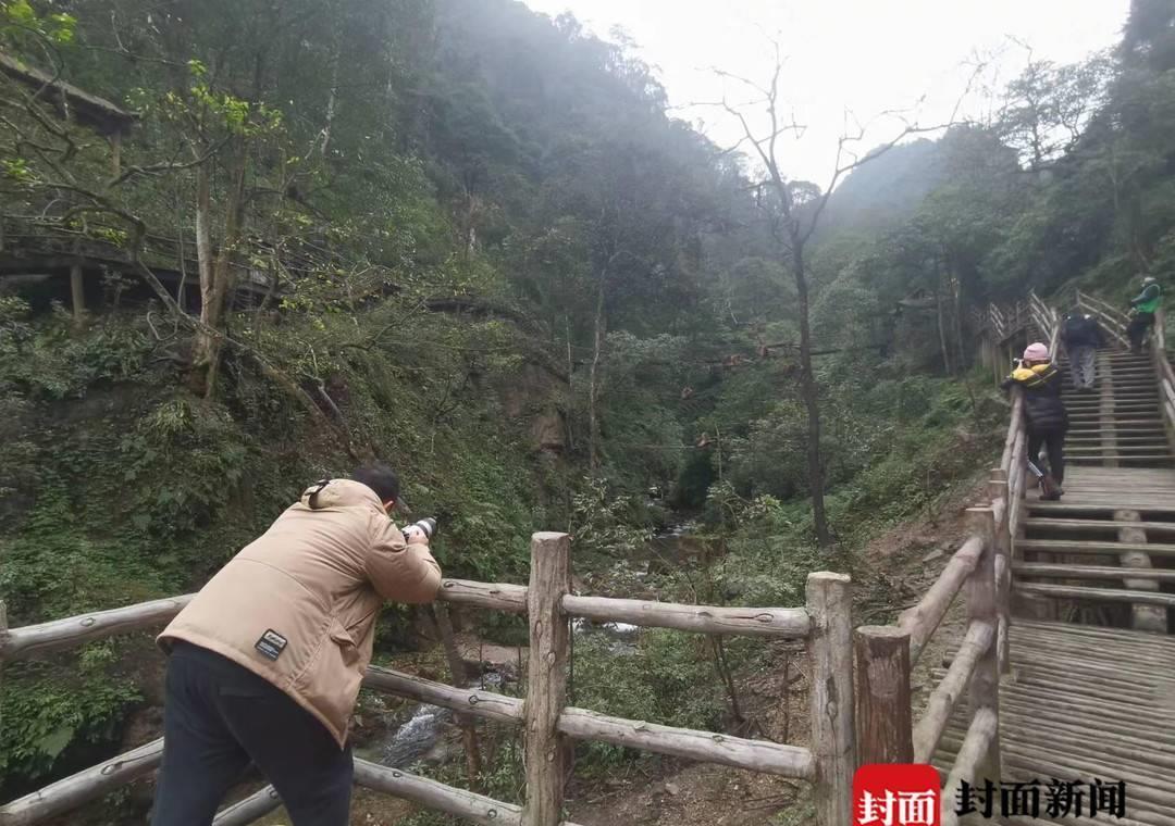 峨眉山招聘15名猴群管理员,峨眉山景区招聘15名猴管员
