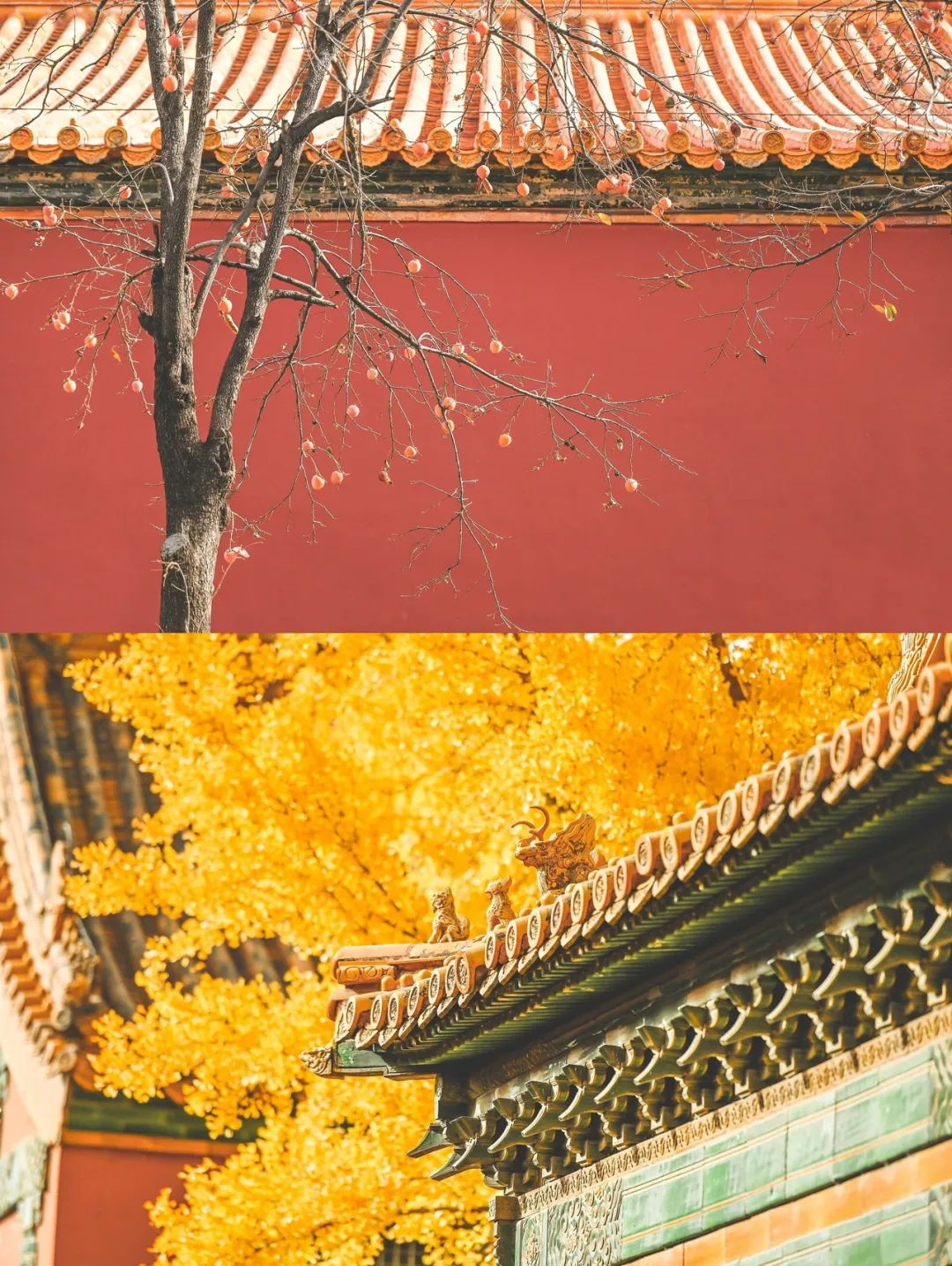 一入秋北京就变成了北平原文,一入秋北京就成了北平是谁说的