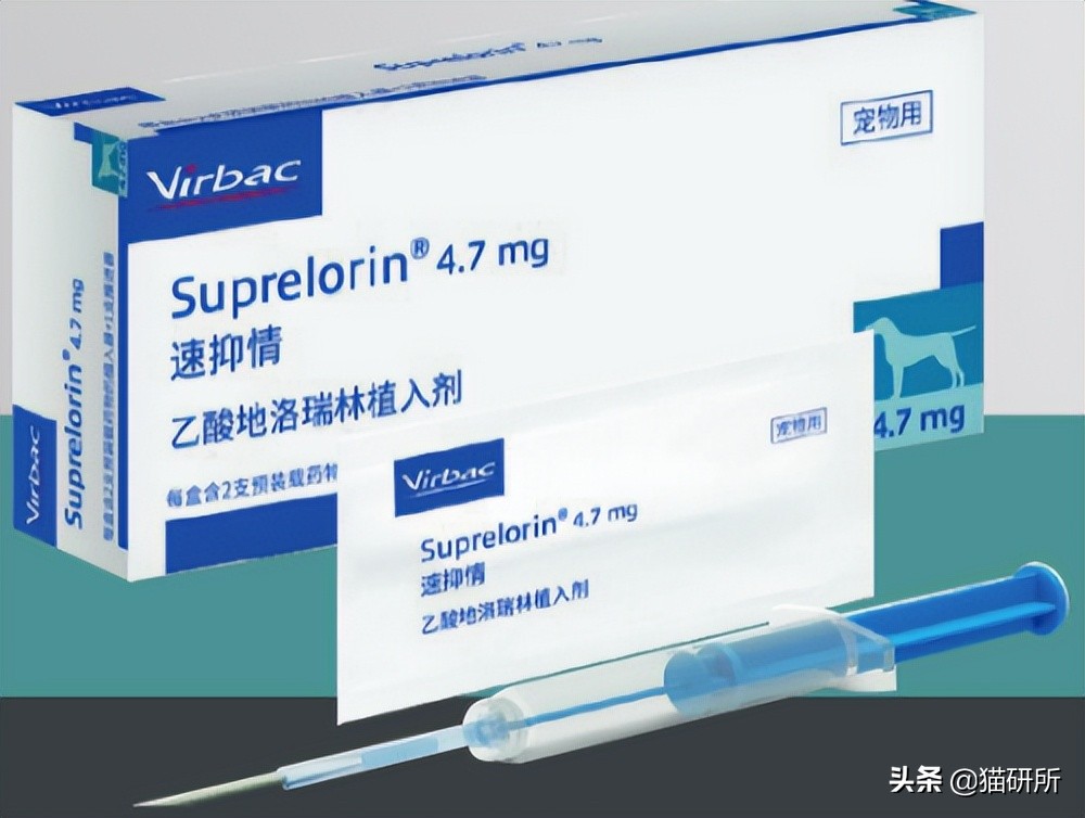 不开刀绝育手术,不打针不手术怎么让母猫绝育