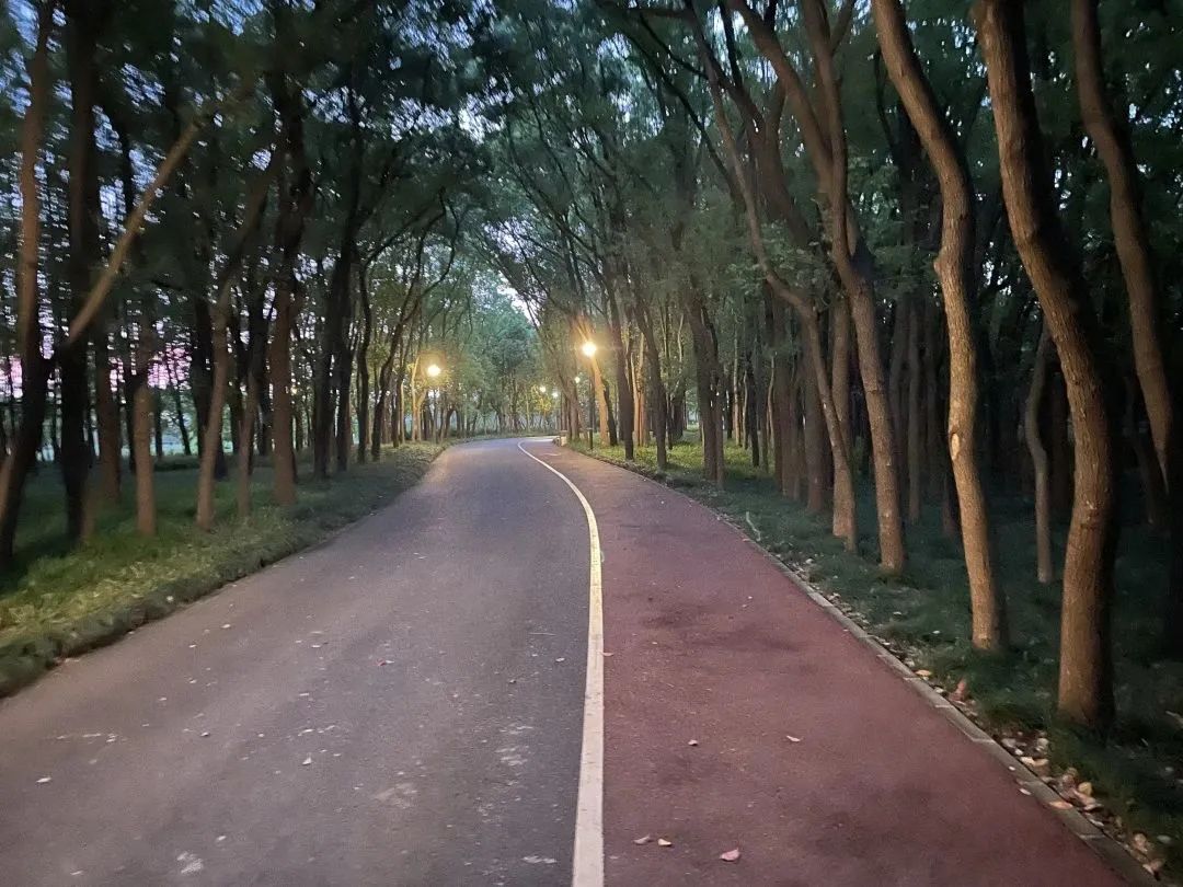 小布摄影团丨魔都夜生活的N种打开方式，快收藏起来→