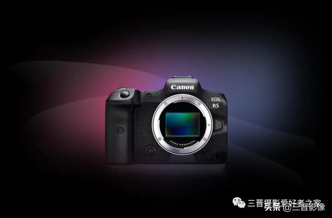 照相机的型号越来越多，如果拍鸟的话，有哪些型号值得考虑