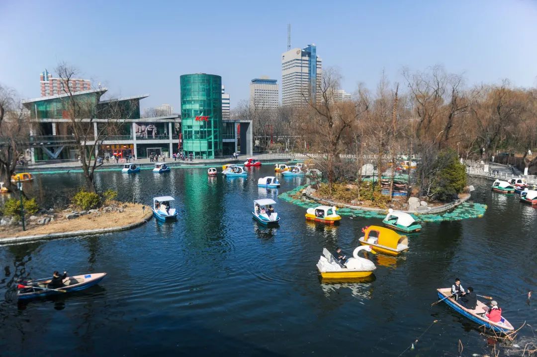 春天的天空是属于风筝的，快收藏济南这些放风筝的好地方！