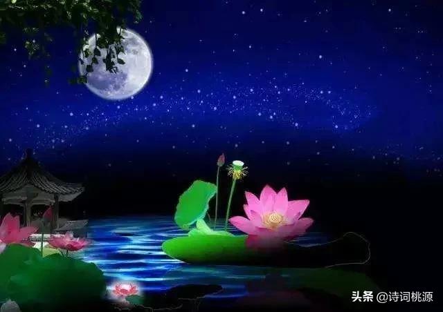 荷风有意透轩窗，夏夜芙蓉着艳妆：夏之韵七绝，月辉清韵透荷香