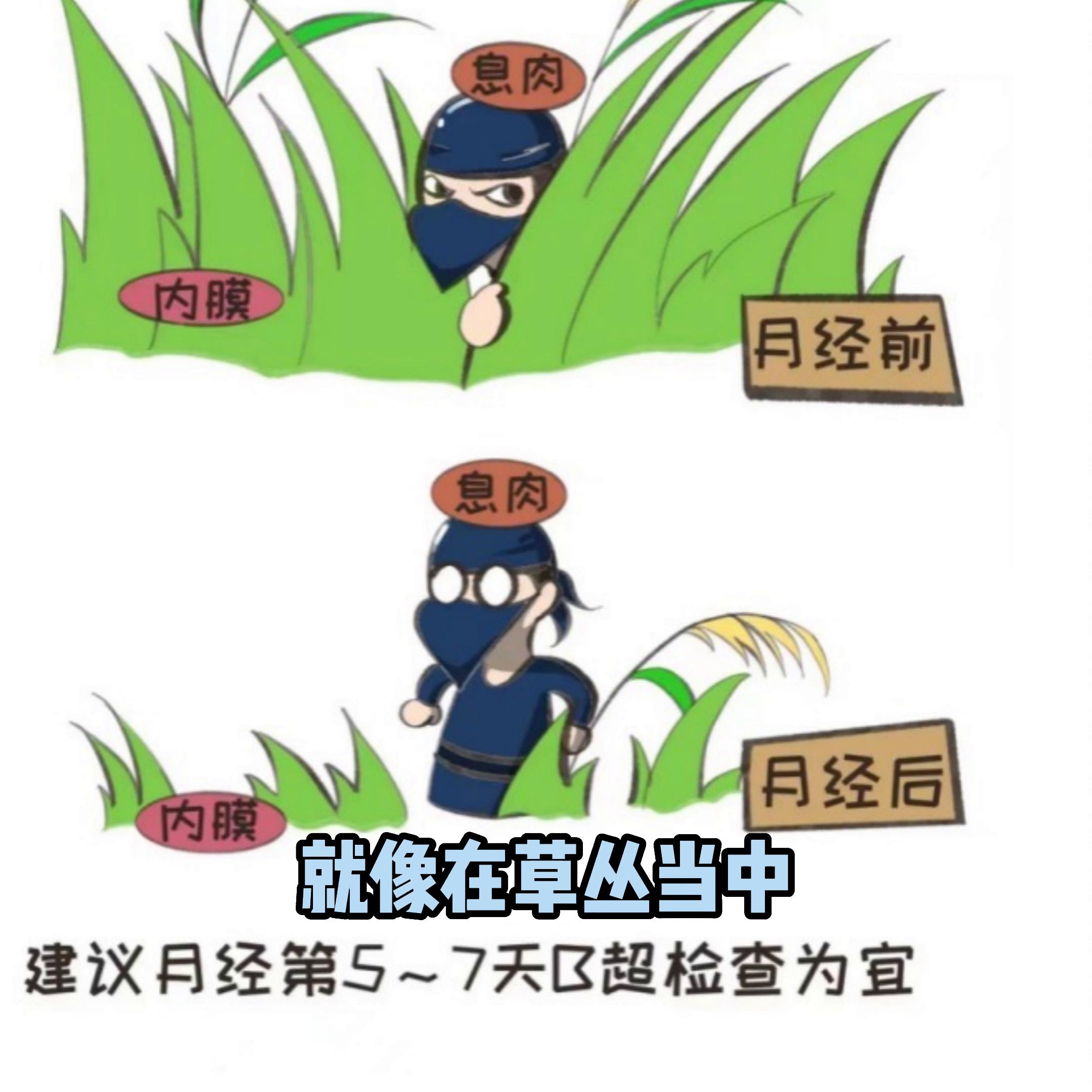 女性宫颈会长“小鲜肉”？来听听董医生怎么说,上#董...