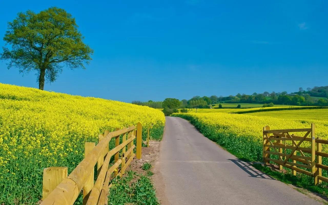 电子票务系统是一种现代化的景区门票管理模式