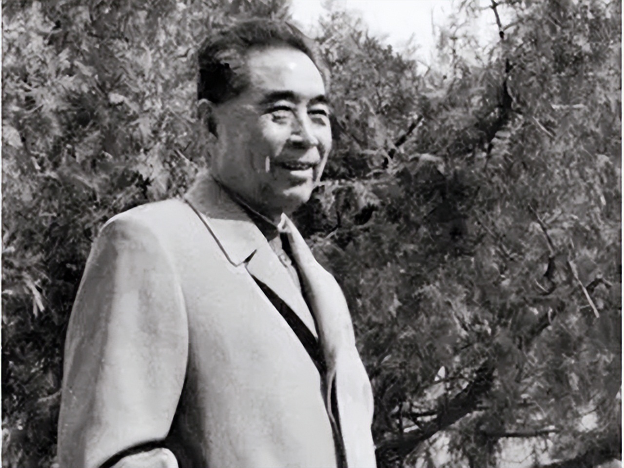 日本当年用什么换辛追夫人头发,日本索要辛追的头发