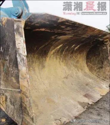 铲车杀人事件后续,石家庄铲车伤人事件