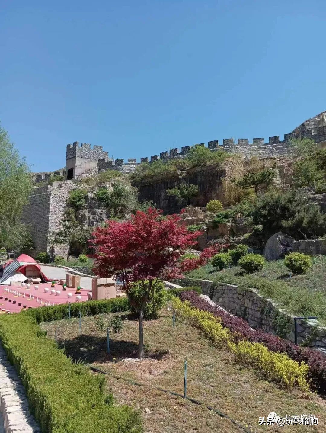 樱花谷无量山,樱花谷风景区