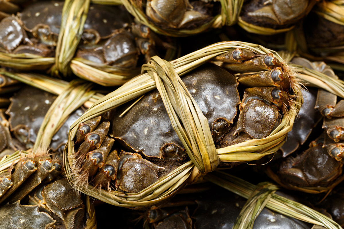 鱼米之乡江苏高淳固城湖大闸蟹,南京高淳固城湖大闸蟹宣传片