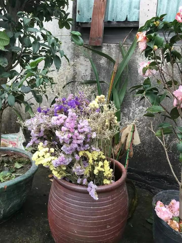 如何花最少的钱改造出租屋,怎样花最少的钱布置出租房