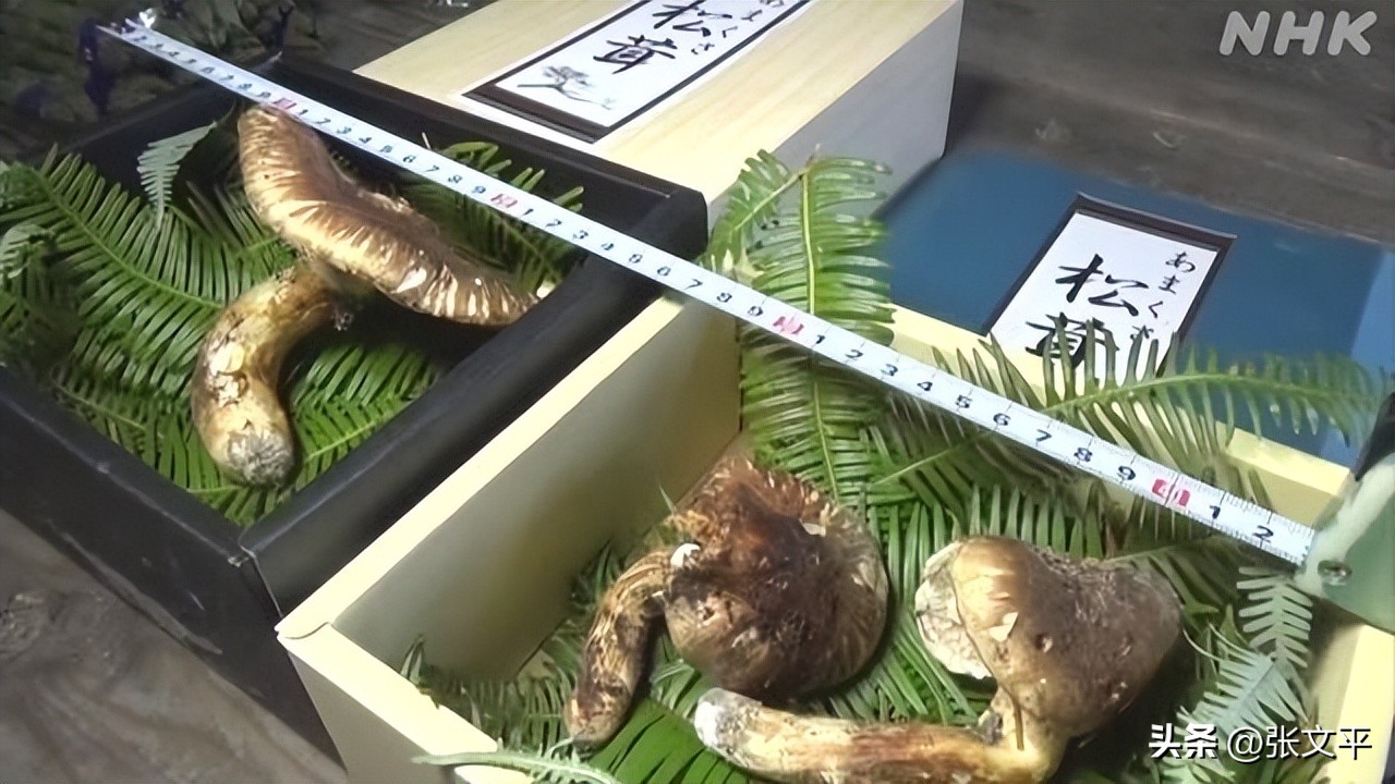 一碗正宗的蕈油面等你来品尝,全上海难觅的蕈油面