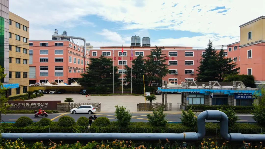 三元公司使用何种增长战略,三元控股集团有限公司怎么样