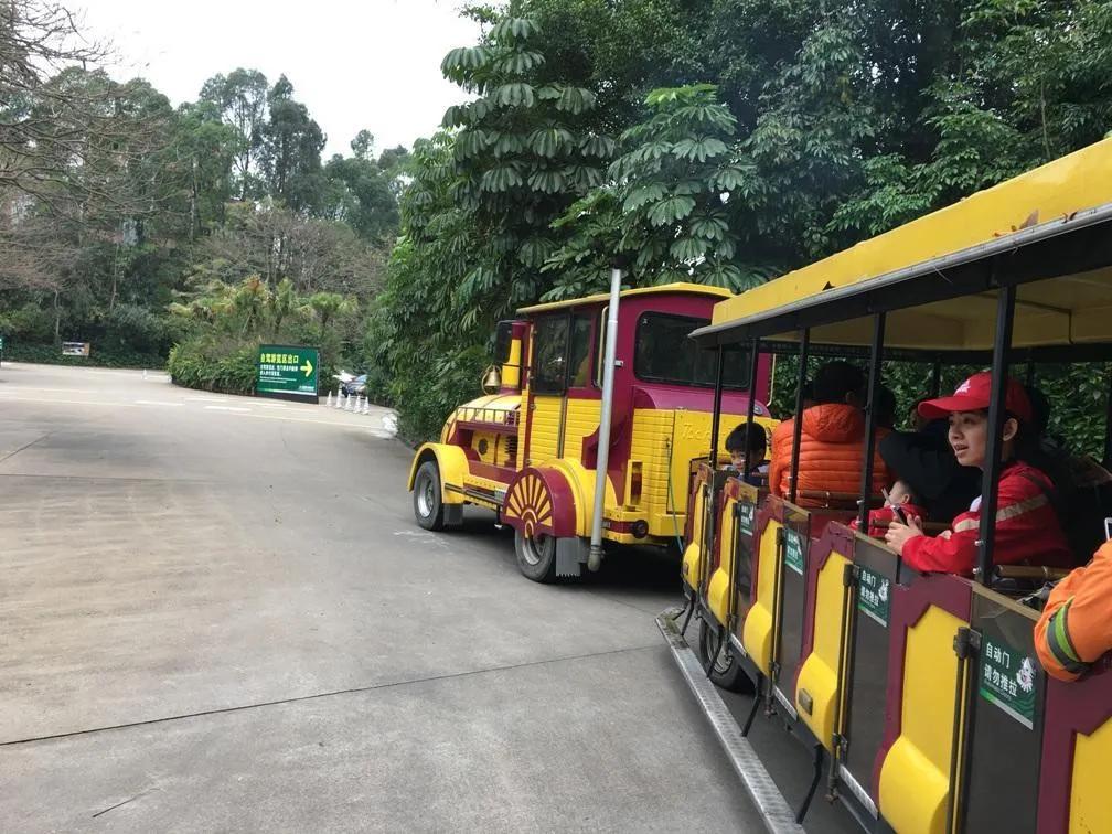 广州长隆野生动物世界有大象吗,广州长隆野生动物世界有多少动物