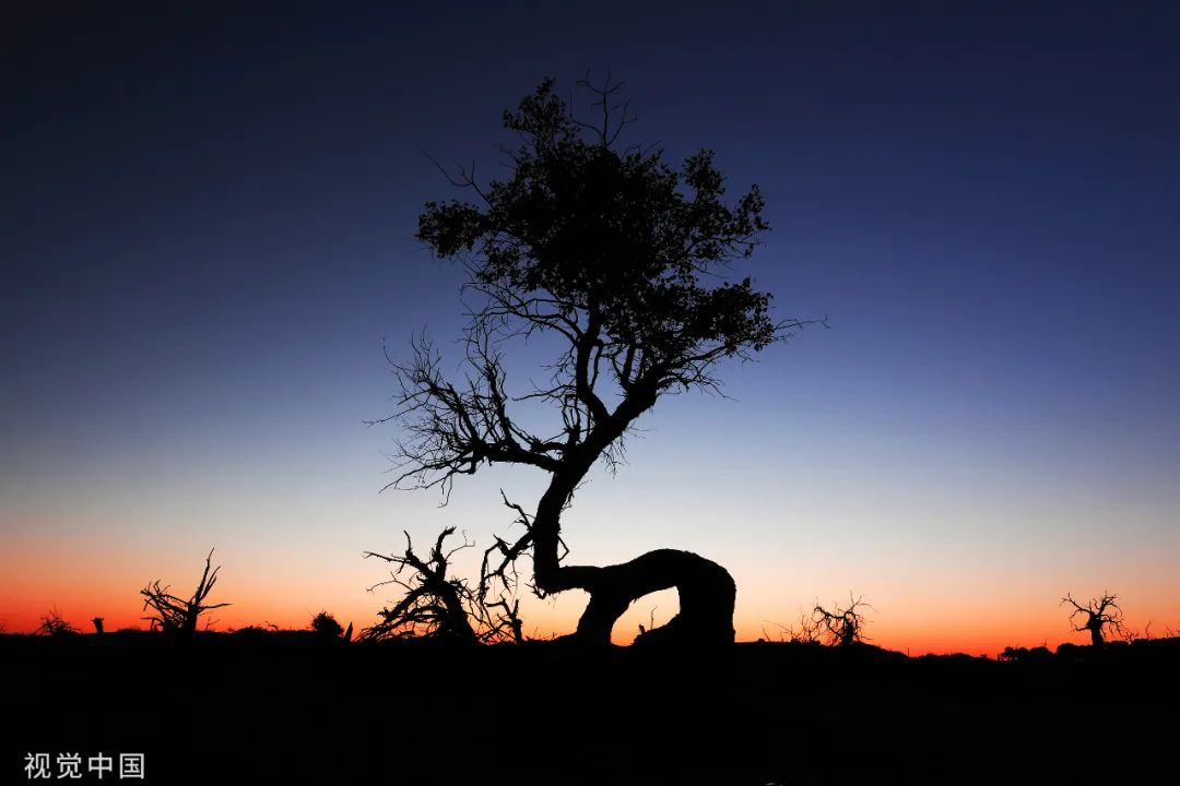 那些描写夕阳的绝美诗句,描写夕阳的绝美诗句