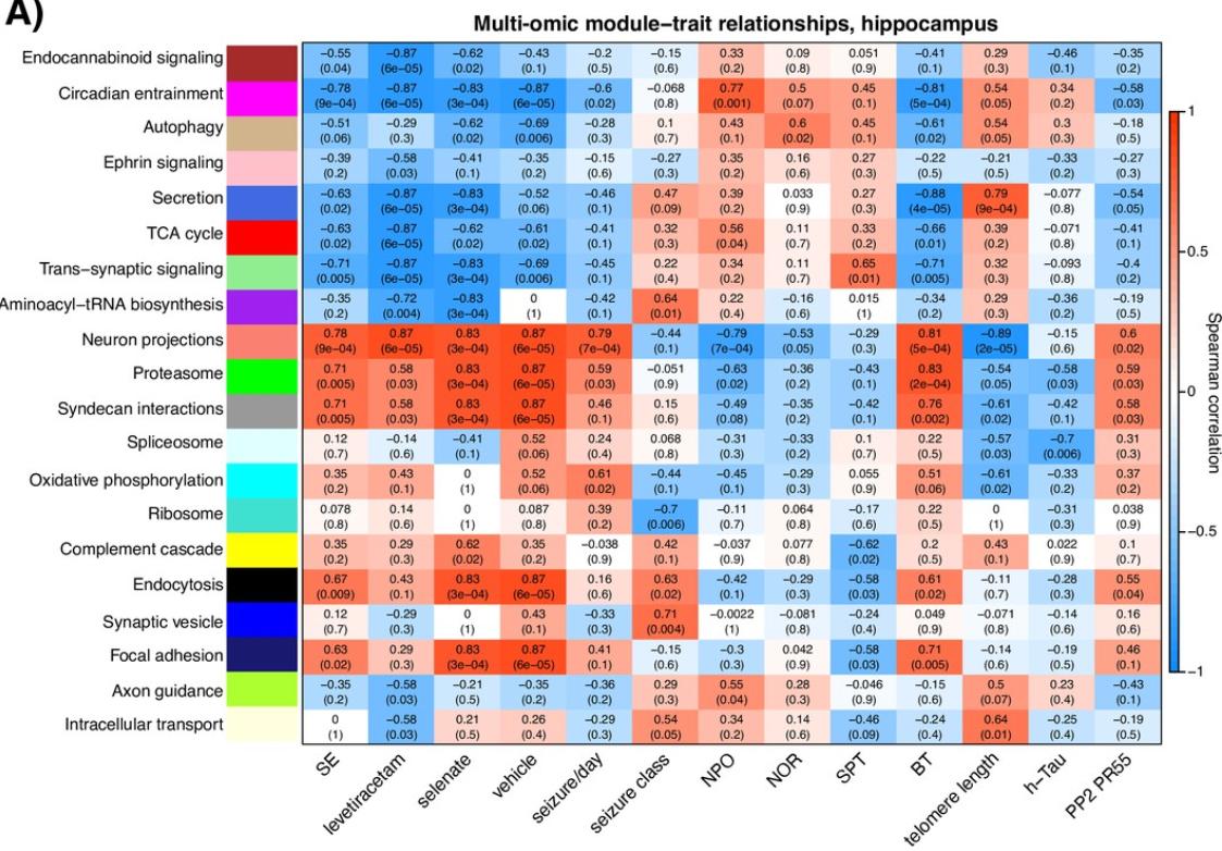 颞叶性癫痫吃什么药,颞叶癫痫药物治疗效果