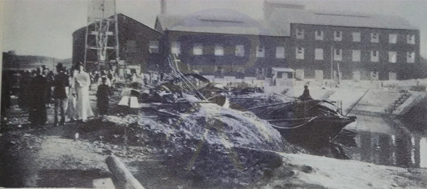 中国制糖业历史,上一世纪五十年代广东十大糖厂