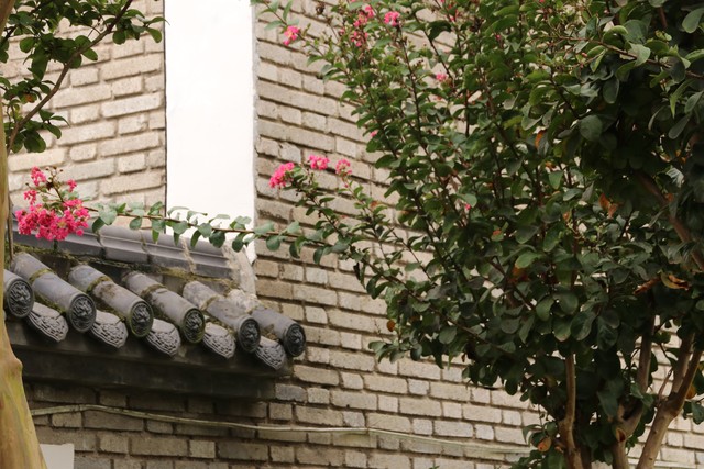 紫薇都市田园直播,紫薇都市田园好玩吗