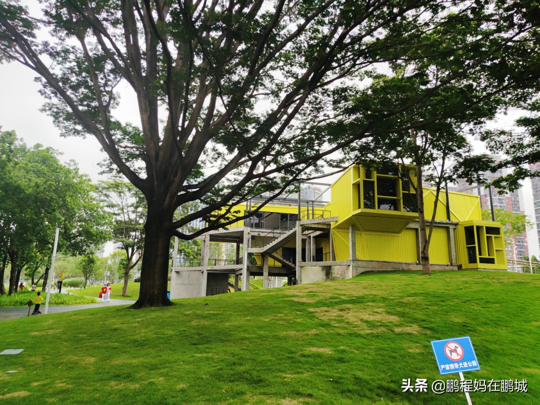 观澜最近翻新过的公园,龙华观澜中心公园