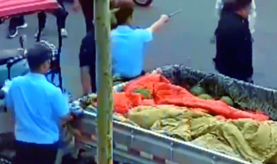 城管砸西瓜执法遇到警察,西瓜摊贩抗拒城管执法后续