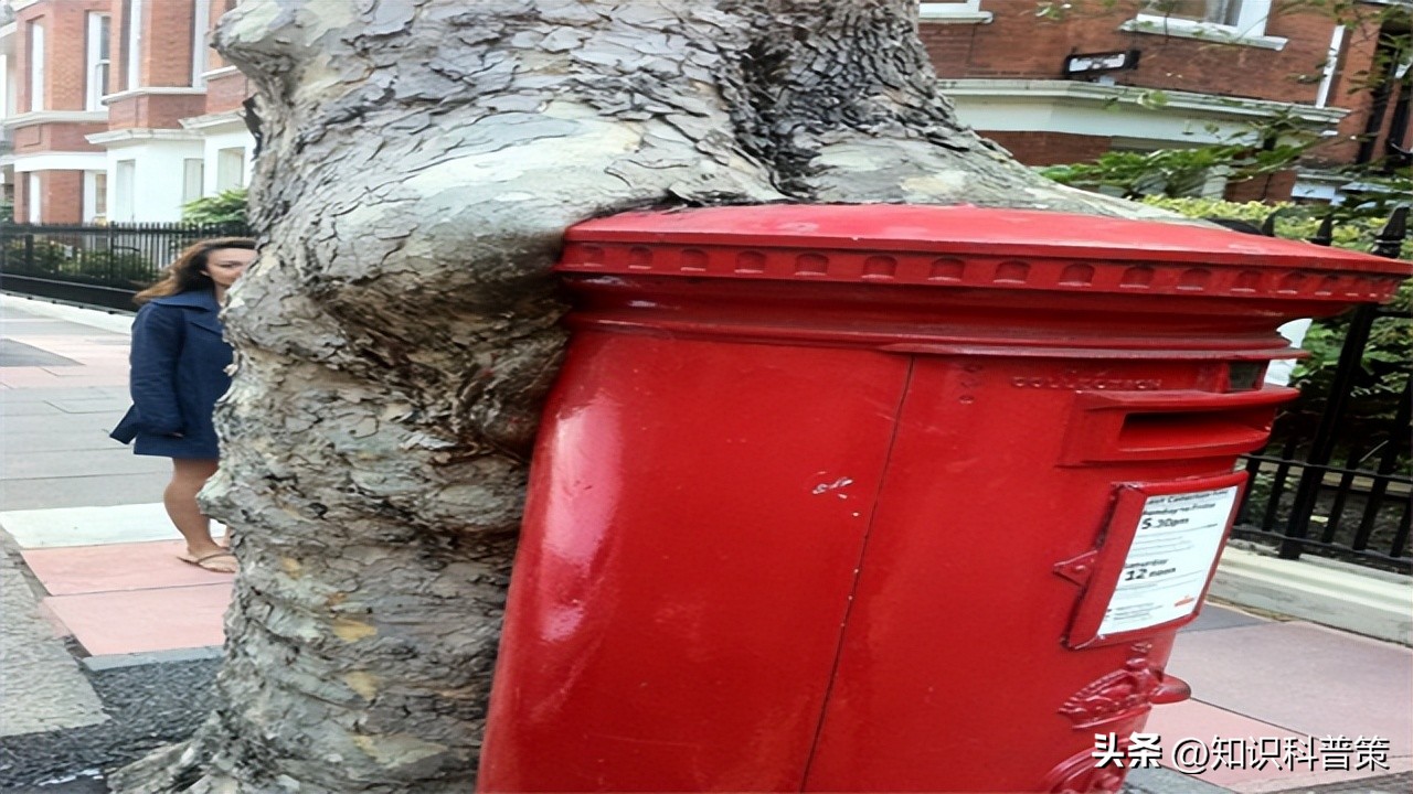 大自然的力量真大,大自然的力量有多大