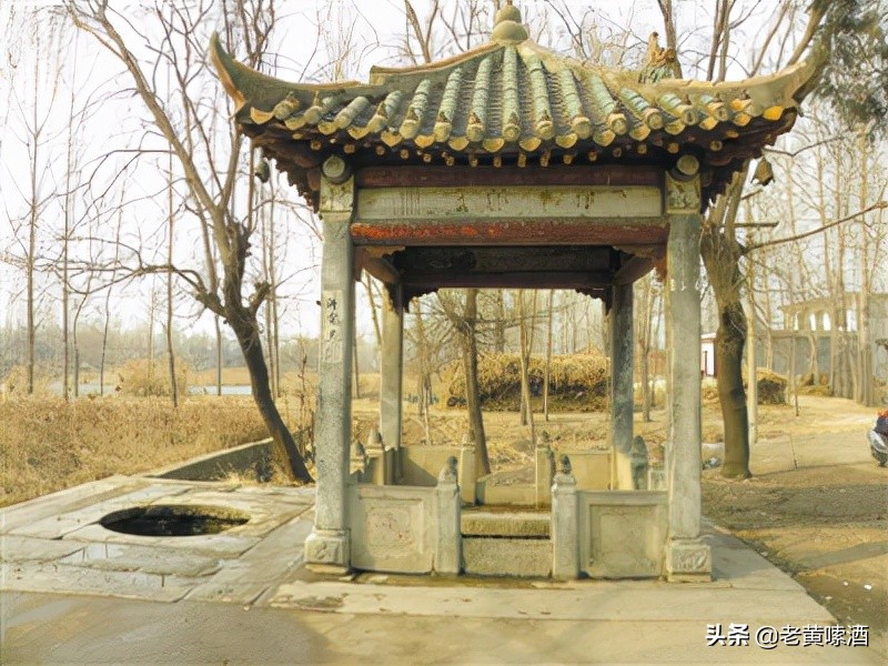 扳倒井50年,扳倒井有多火