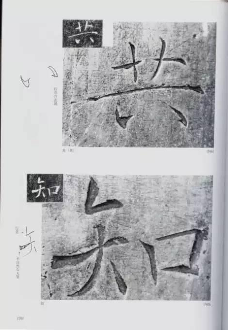 宸ョ瑪鐢绘潹鏅箟鐢诲唽,鏉滈箖鏉ㄦ櫘涔夊畬鏁寸増