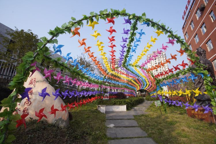 重庆新东方职业学校好吗,重庆新东方职业学院在哪