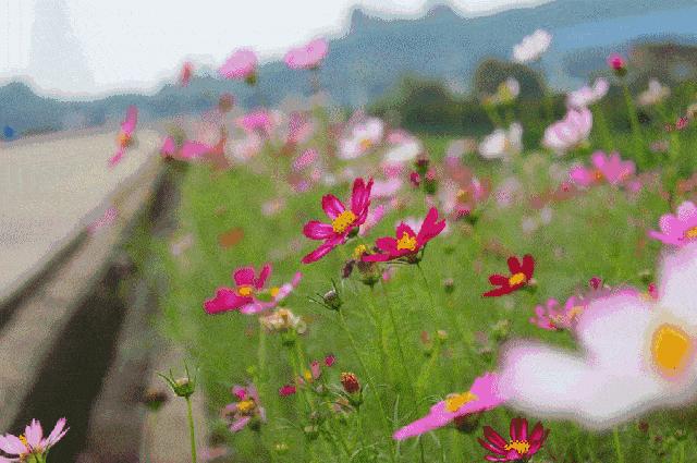 魅力赛罕秋意浓①｜金秋十月，来赛罕区见面的3种方式