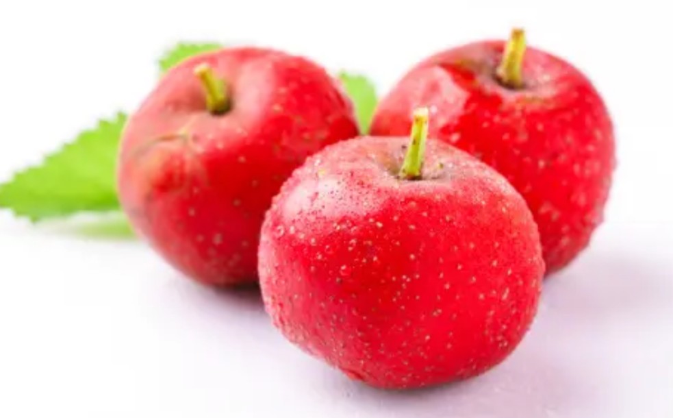 秋天干燥适合吃什么水果,广东秋天应季水果