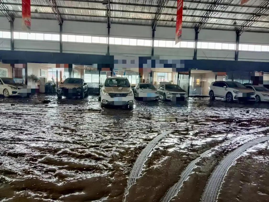 风暴眼马尚受伤,风暴眼受伤